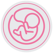 Pregnancy Support